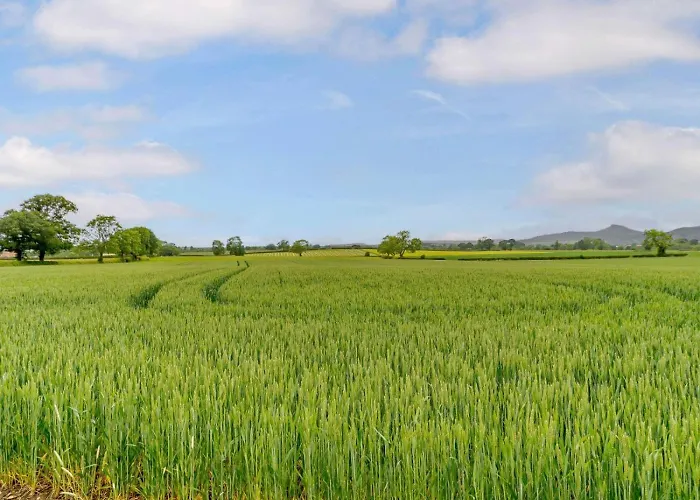 1 Bed In Middlesbrough Oc-86814 Σπίτι διακοπών